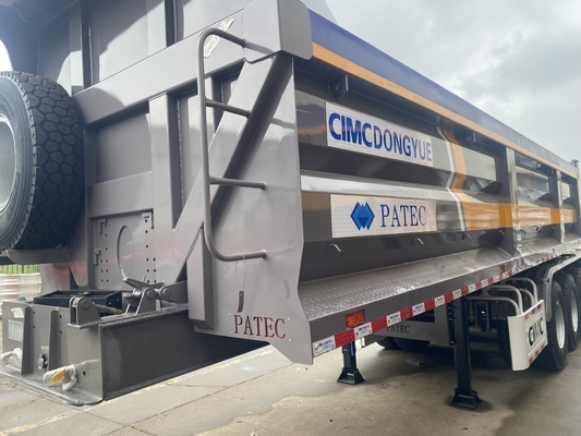 CIMC Nuovo di zecca Camion di trasporto merci
